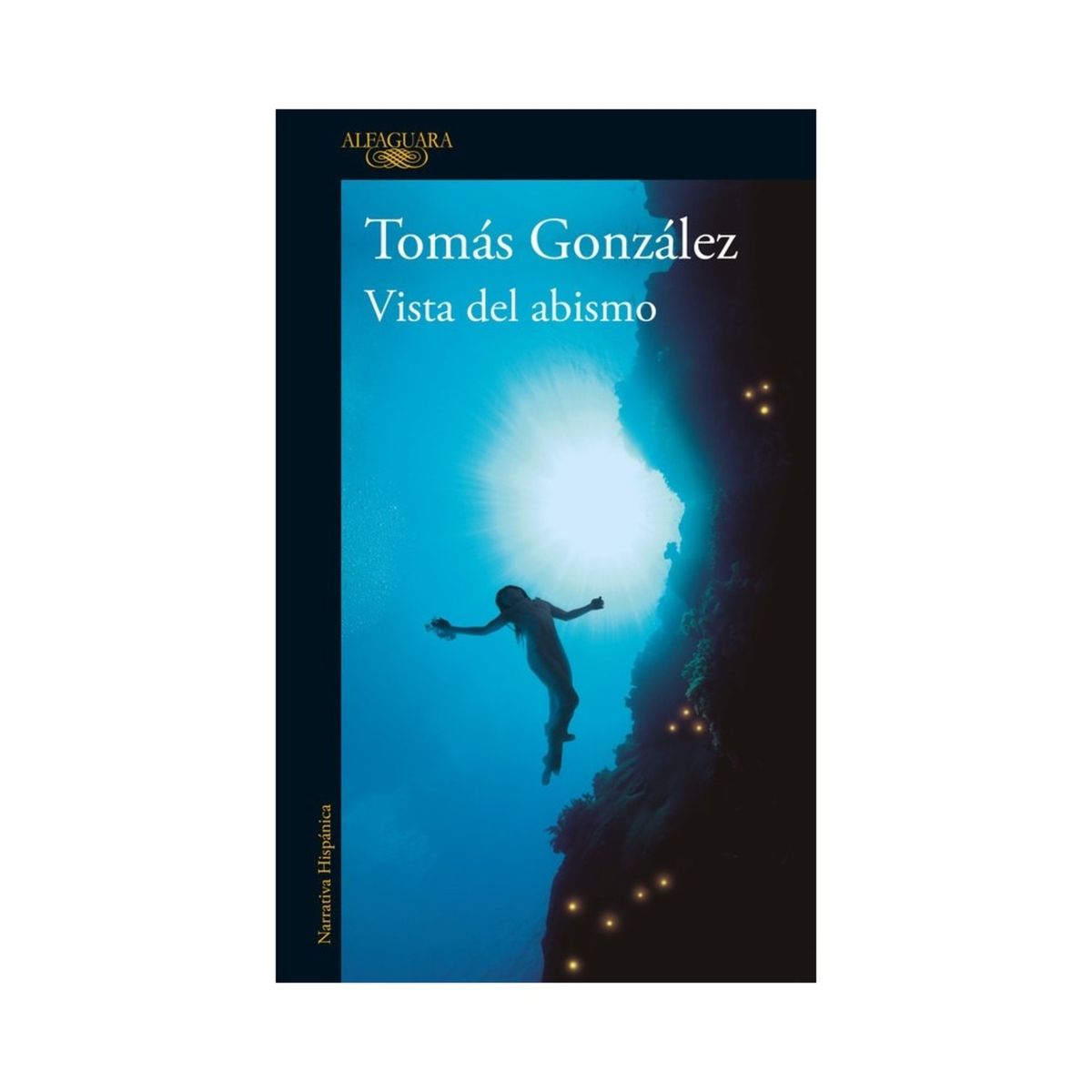 TOP10BOOKS - LIBRO Vista Del Abismo - Vista Del Abismo