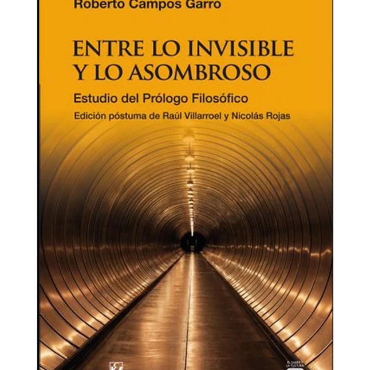 TOP10BOOKS - LIBRO Entre Lo Invisible Y Lo Asombroso - Entre Lo Invisible Y Lo Asombroso