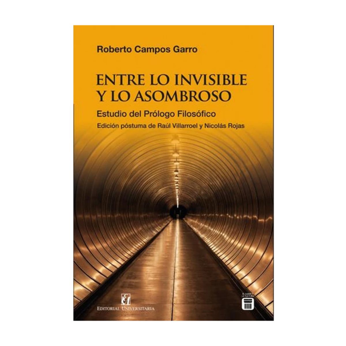 TOP10BOOKS - LIBRO Entre Lo Invisible Y Lo Asombroso - Entre Lo Invisible Y Lo Asombroso