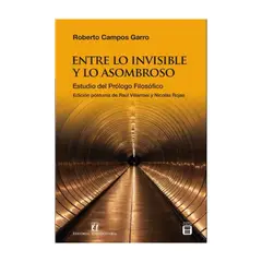 TOP10BOOKS - LIBRO Entre Lo Invisible Y Lo Asombroso - Entre Lo Invisible Y Lo Asombroso