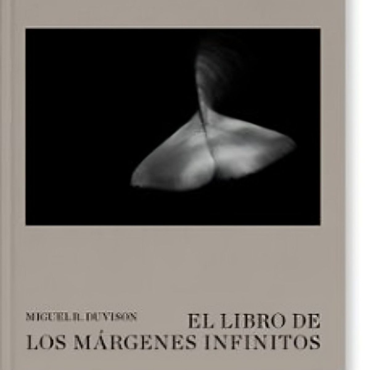 TOP10BOOKS - LIBRO El Libro De Los Márgenes Infinitos - El Libro De Los Márgenes Infinitos