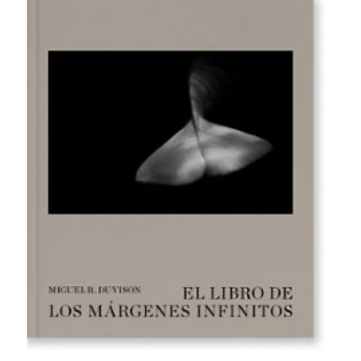 TOP10BOOKS - LIBRO El Libro De Los Márgenes Infinitos - El Libro De Los Márgenes Infinitos
