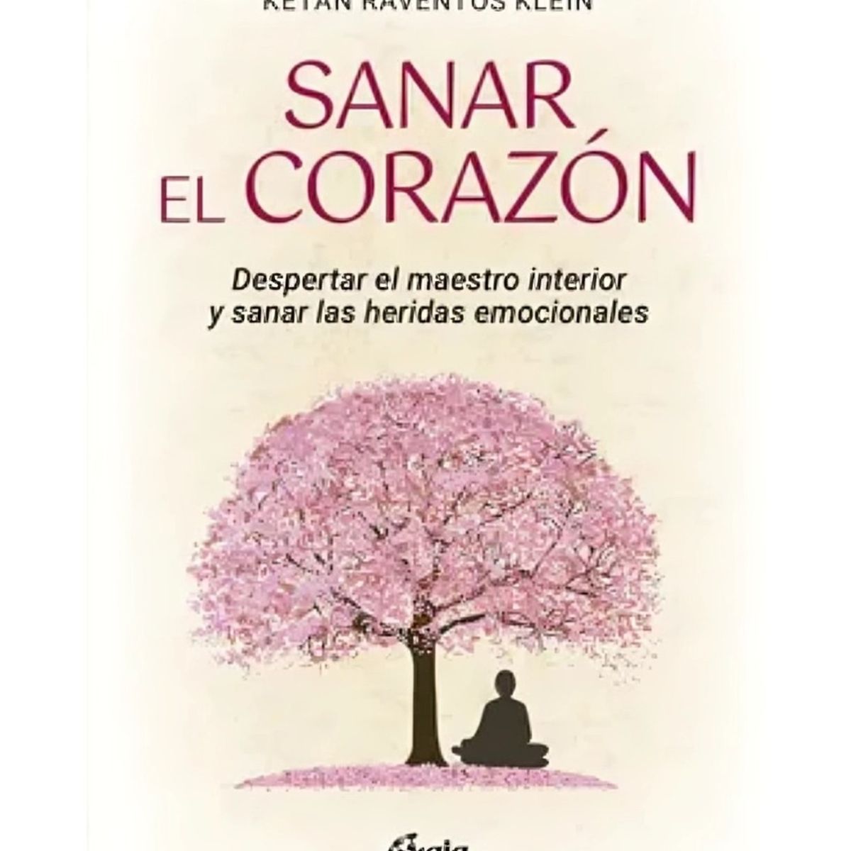 TOP10BOOKS - LIBRO s a n a r El Corazón - s a n a r El Corazón