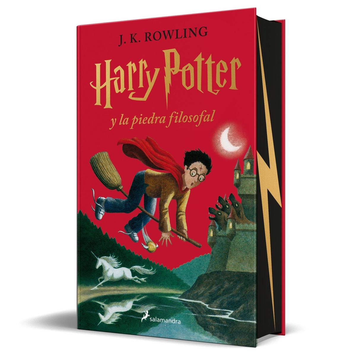 TOP10BOOKS - LIBRO Harry Potter Y La Piedra Filosofal (edición Especial Con Cantos Pintados)