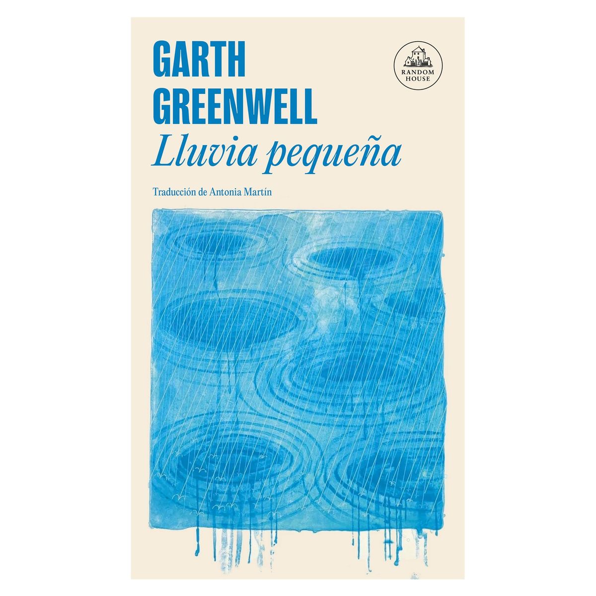 TOP10BOOKS - LIBRO Lluvia Pequeña - Lluvia Pequeña