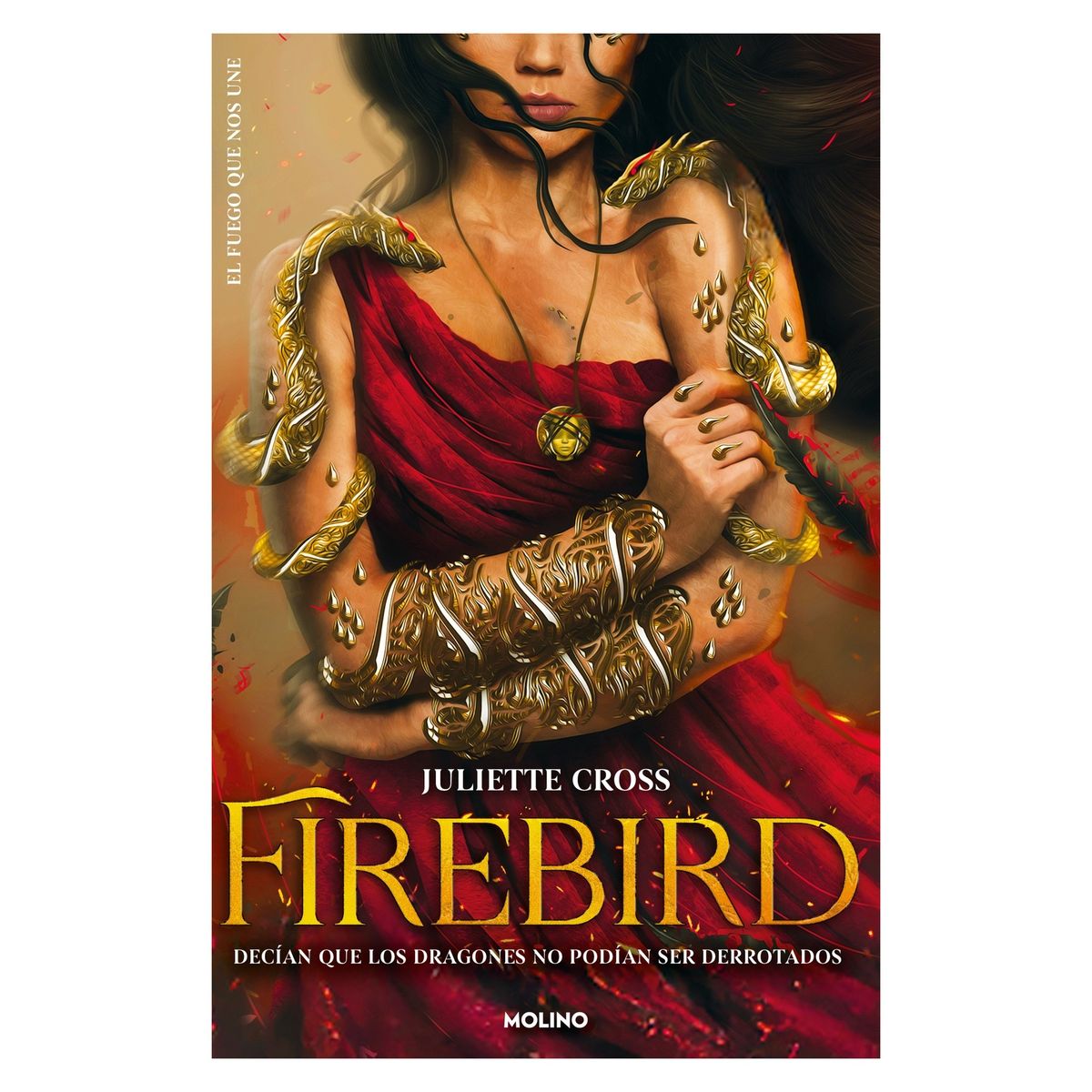 TOP10BOOKS - LIBRO Firebird (el Fuego Que Nos Une 1) - Firebird (El Fuego Que Nos Une 1)