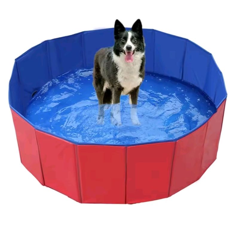 GENERICO - Piscina para Mascotas 80x30 cm