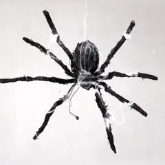 GENERICO - Araña Flotante Animatronics 80X9X9 Cm Halloween