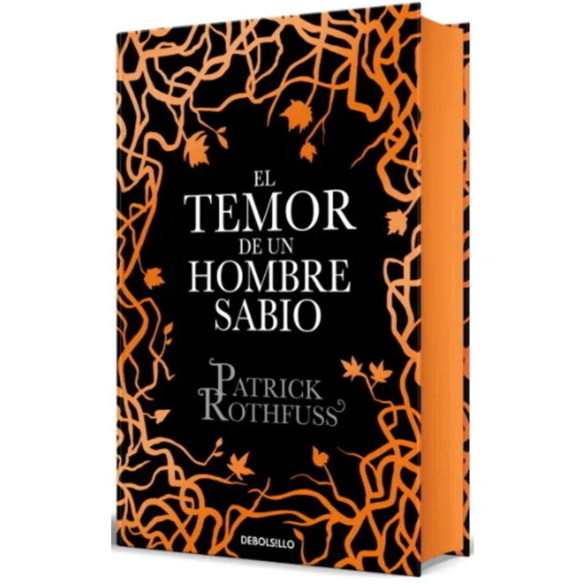 TOP10BOOKS - LIBRO El Temor De Un Hombre Sabio (crónica Del Asesino De Reyes 2)