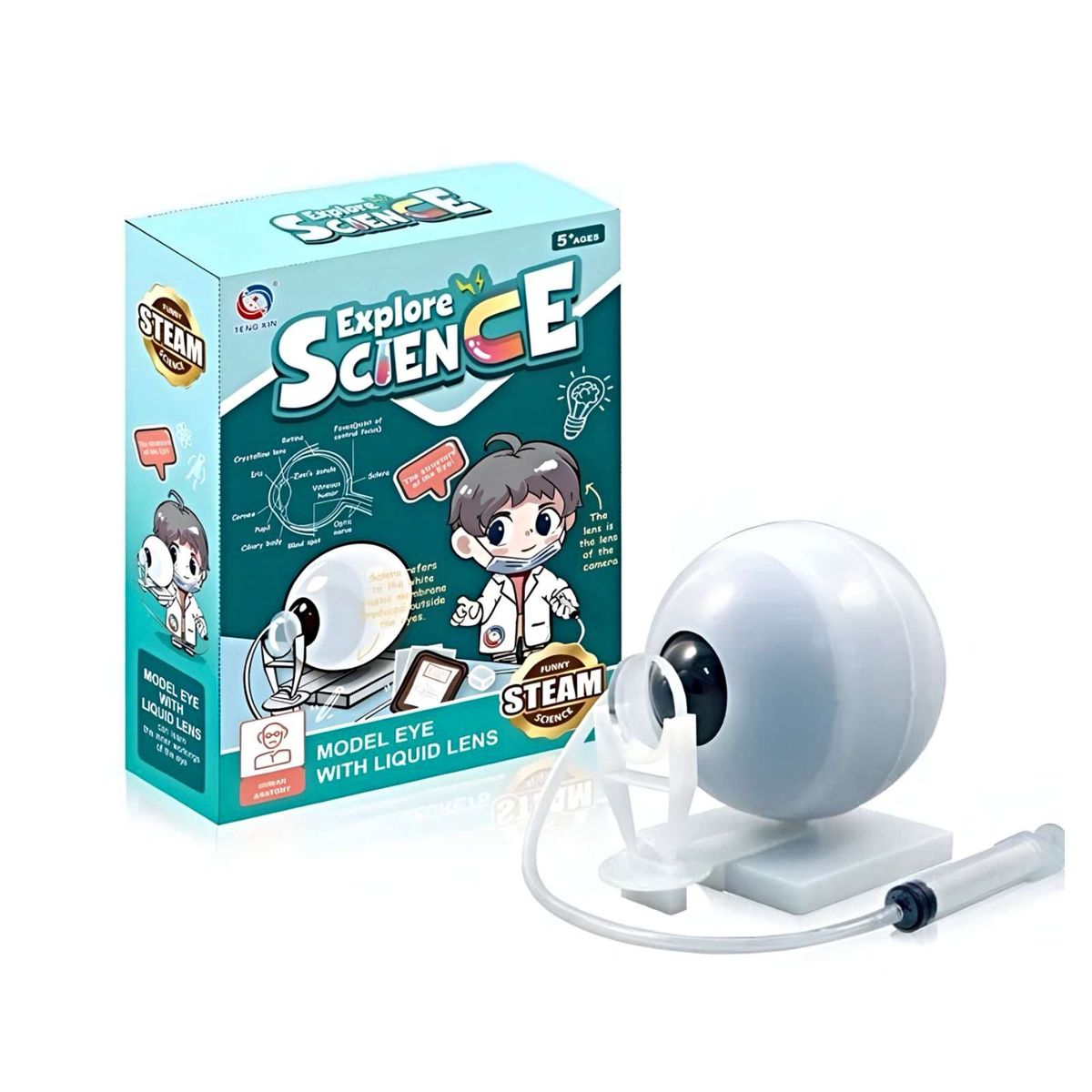 GENERICO - Juego anatomia El Ojo Humano Educativo
