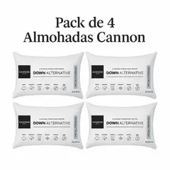 CANON - Set 4 Almohada Down Alternative 50x70