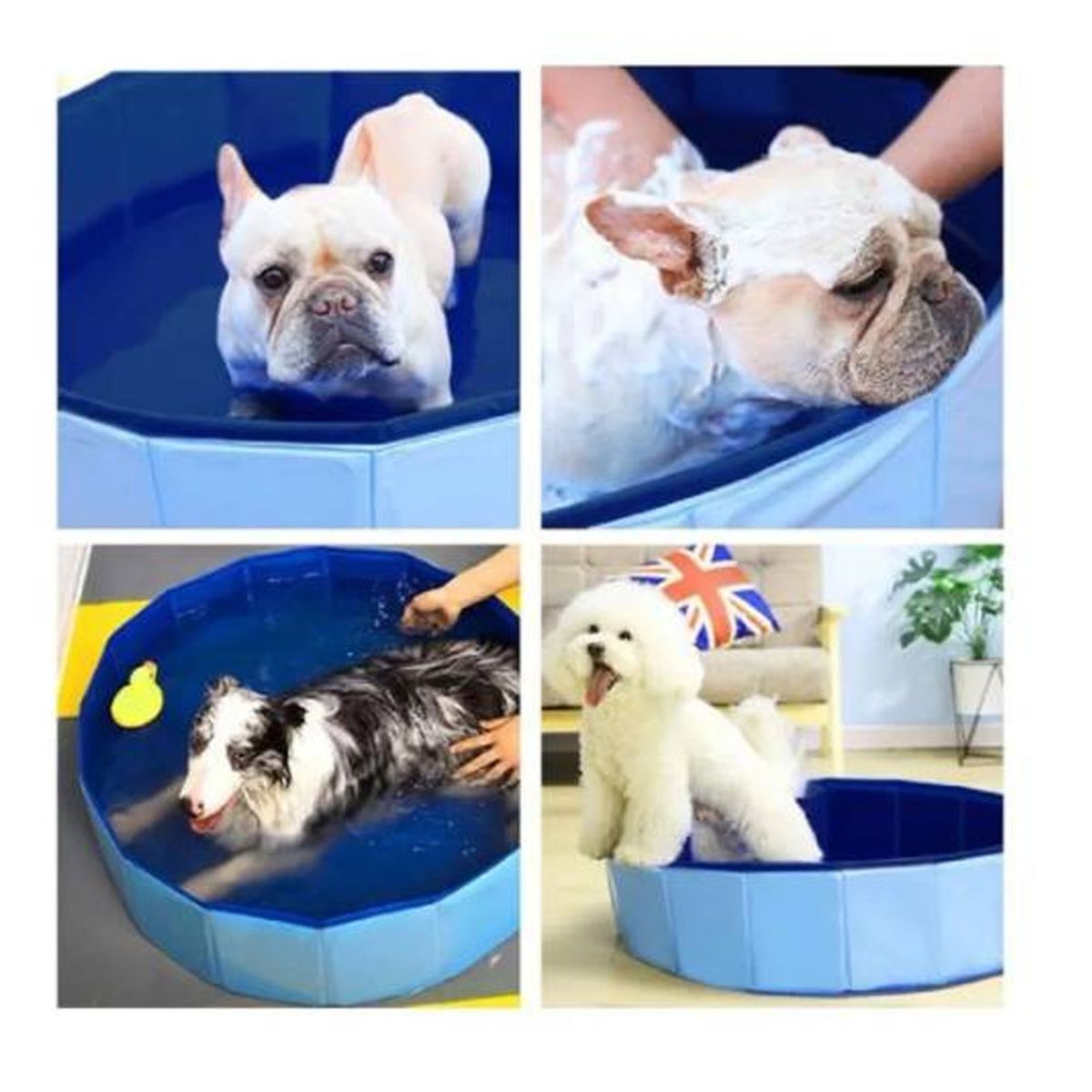 NO LOGO - Piscina Plegable Para Perros Piscina 80x20cm