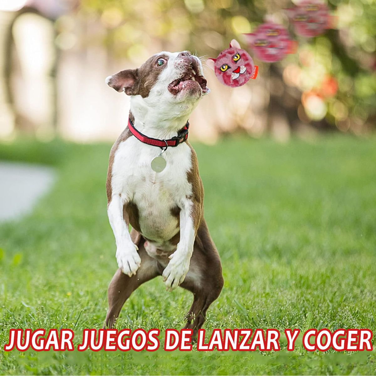 WELDMON - pelota perro