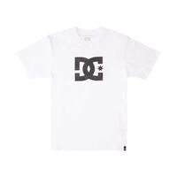 Polera Flag Hombre Lines 94 M Tees Blanco DC
