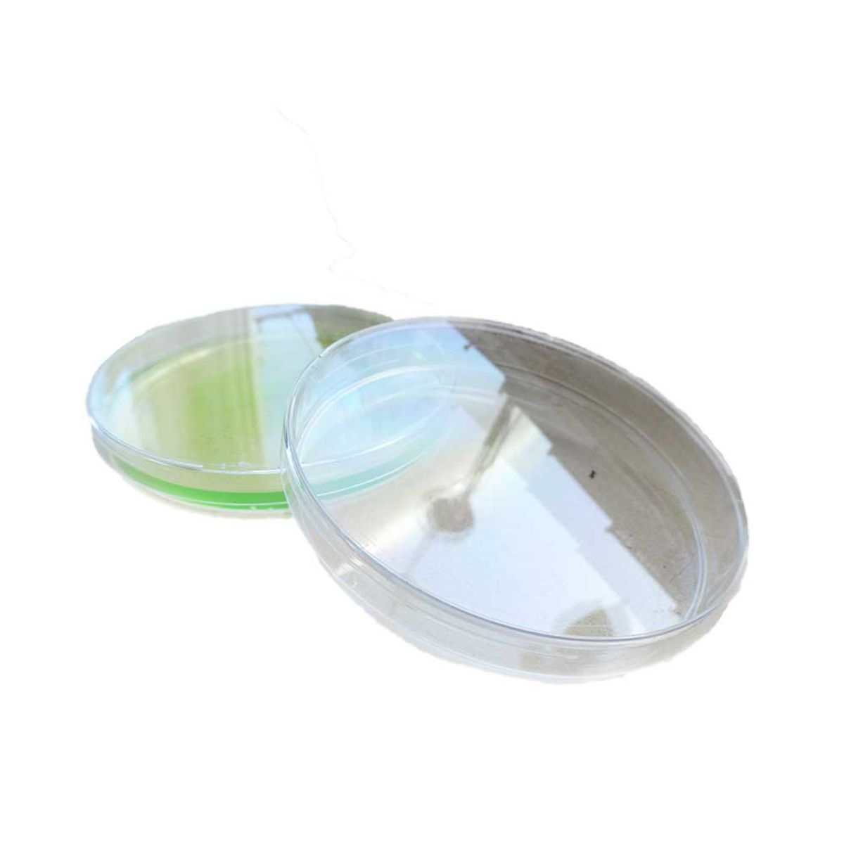 Placa petri plástica 90x15mm estéril 30 unidades, marca GENERICO - Foto Principal