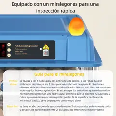 GENERICO - Incubadora 50w Digital Automática 36 Huevos Azul 220v