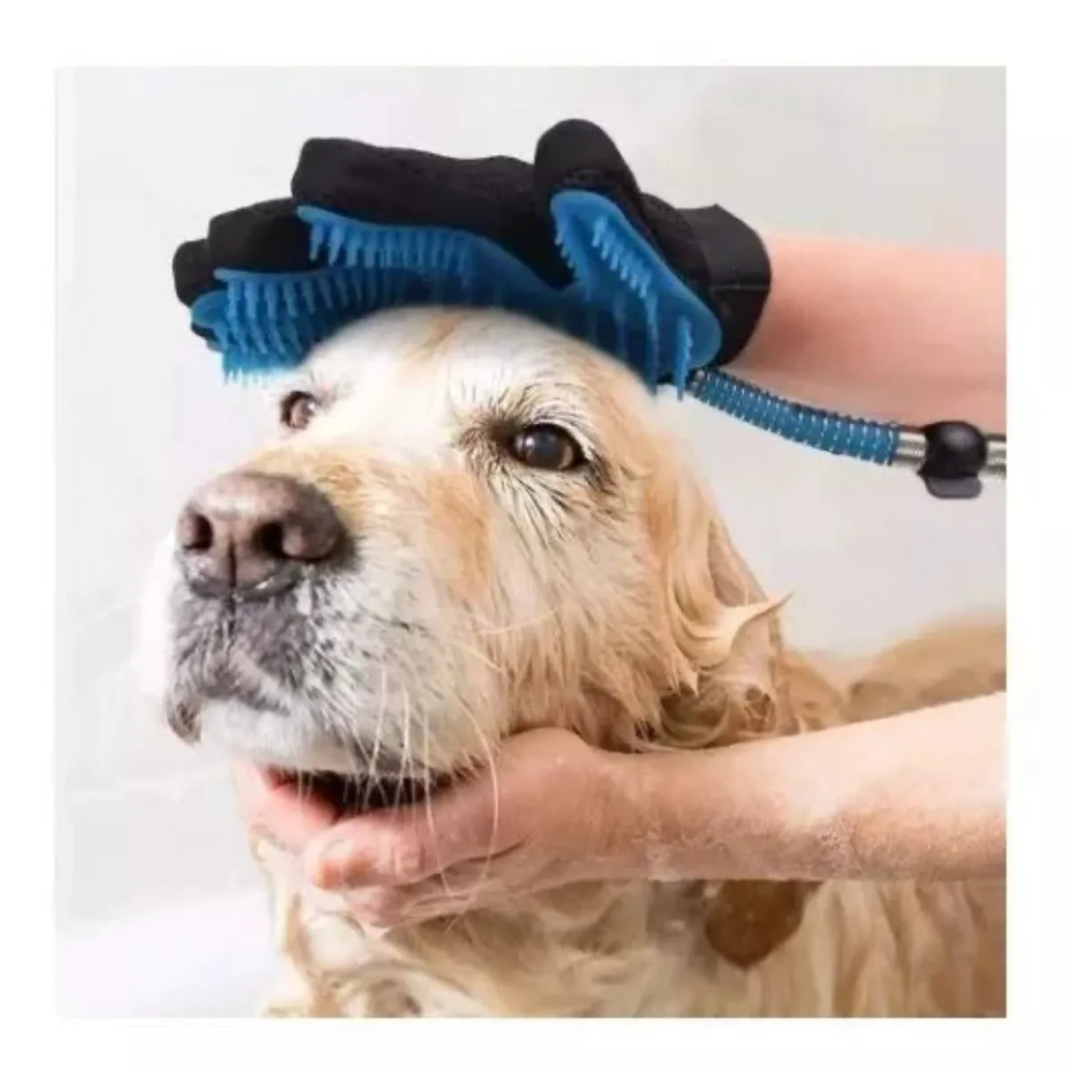 GENERICO - GUANTE BAÑO DUCHA MASCOTAS HK-54