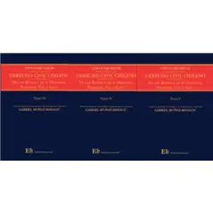 EDITORIAL HAMMURABI - LUIS CLARO SOLAR - EXPLICACIONES DE DERECHO CIVIL CHILENO Y COMPARADO Libro Segundo De los Bienes y de su Dominio Posesión Uso y Goce