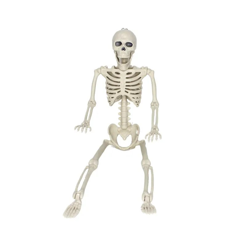 GENERICO - Esqueleto Humano Articulado De 55 Cm