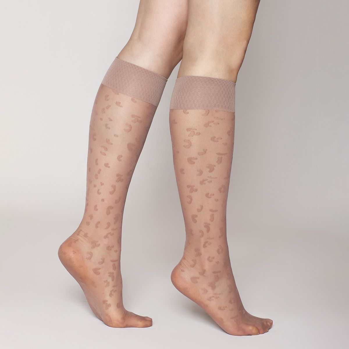 MONARCH - Minimedia Animal Lasst