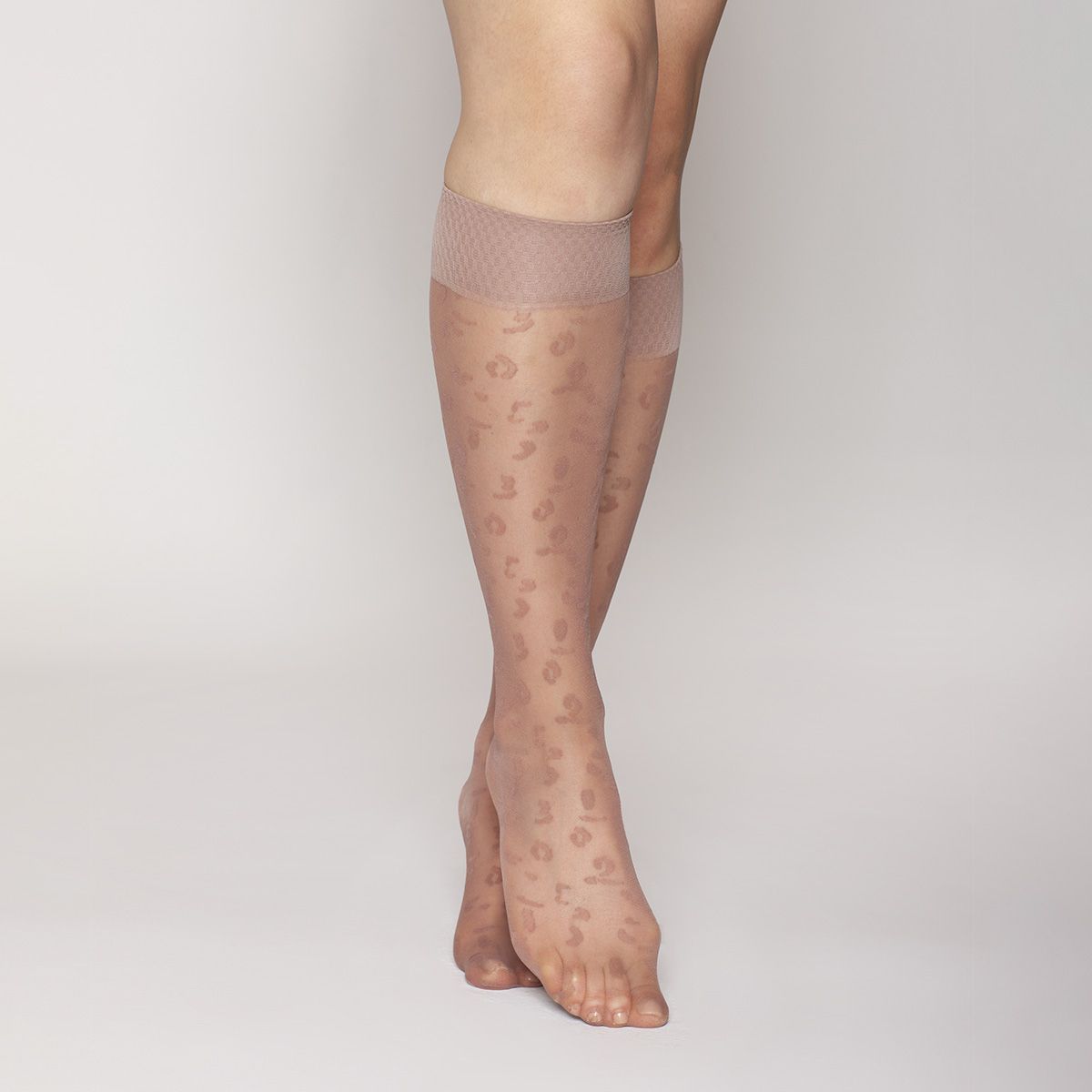 MONARCH - Minimedia Animal Lasst