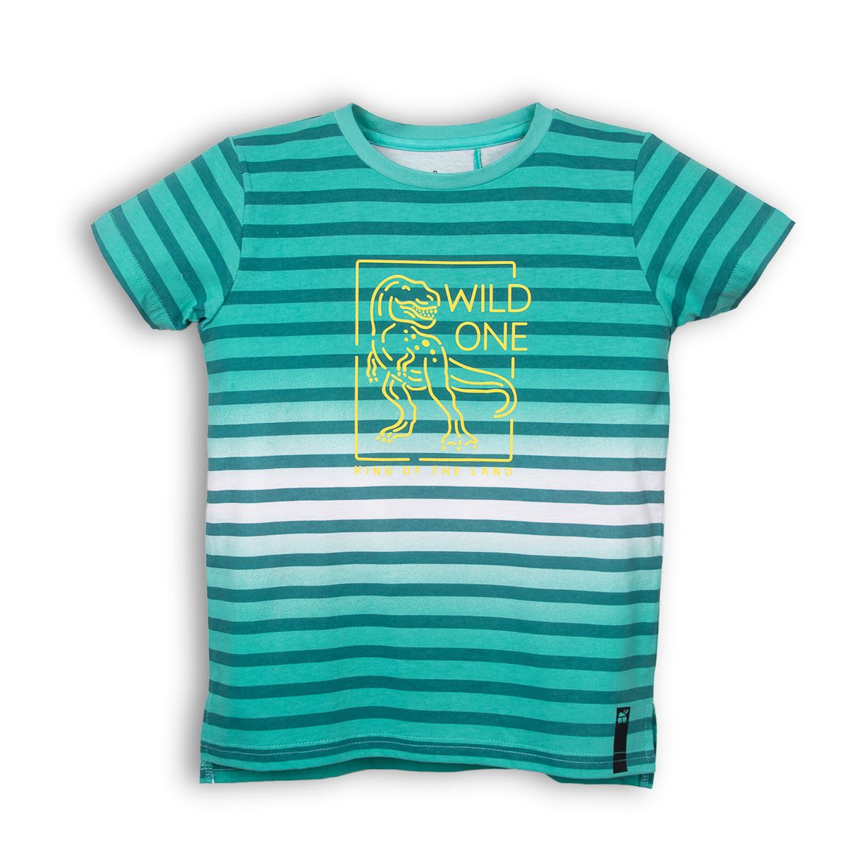 PILLIN - Polera Niño Aqua Pillin PVC642-25AQU