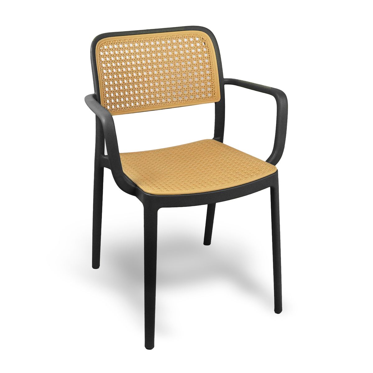 NOVAHUS - Silla Terraza Plástica Cairo con Apoyabrazos Negra