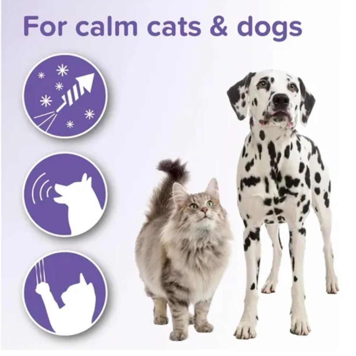 BEAPHAR - Collar Calming Tablet Beaphar Para Perrogato 20tabletas