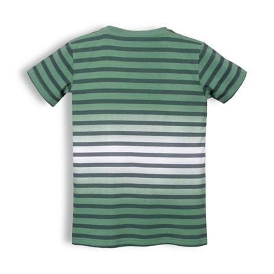 Imagen 2 del producto Polera Niño Verde PVC642-25VER