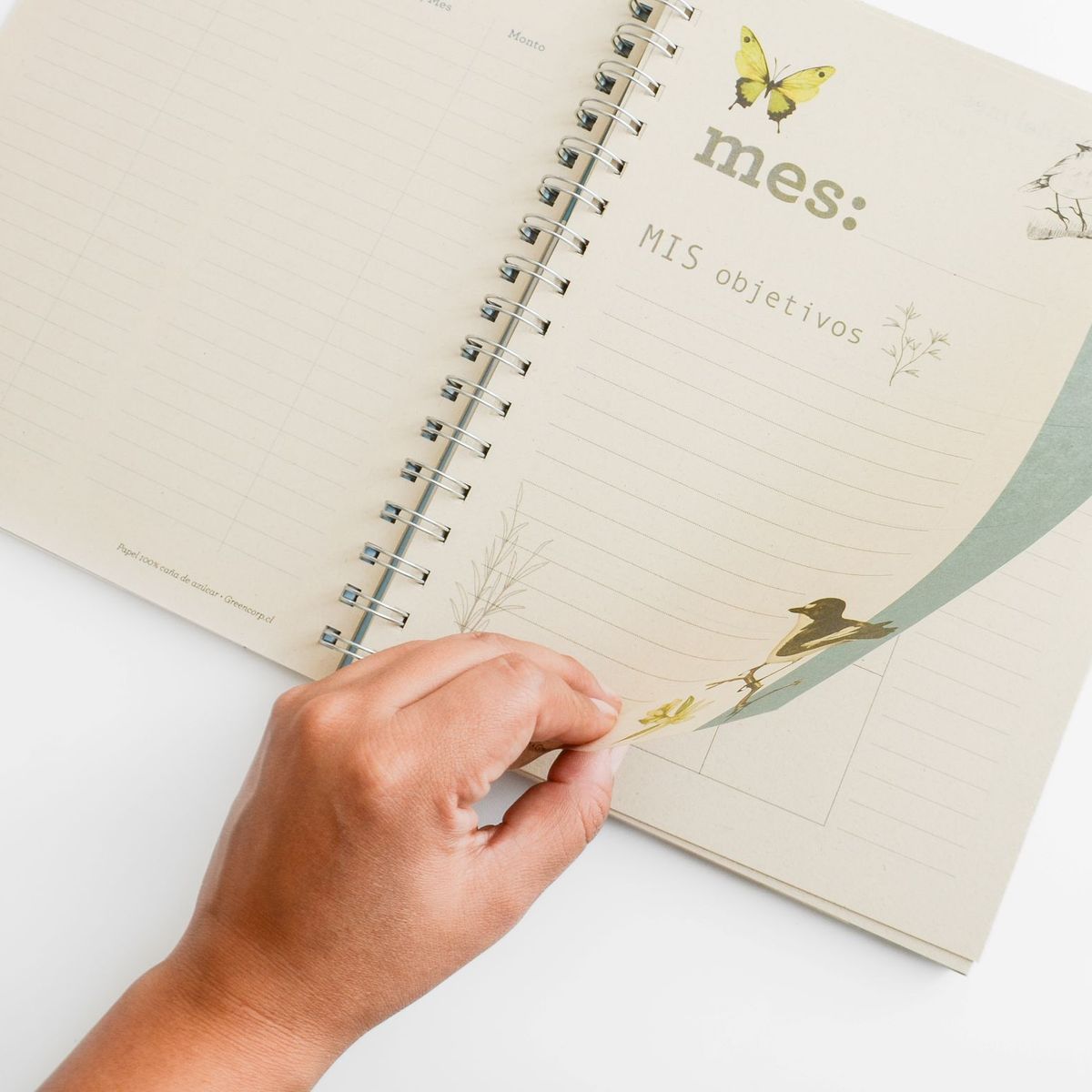 GREENCORP - PLANNER AGENDA ECOLOGICO DISEÑO AVES