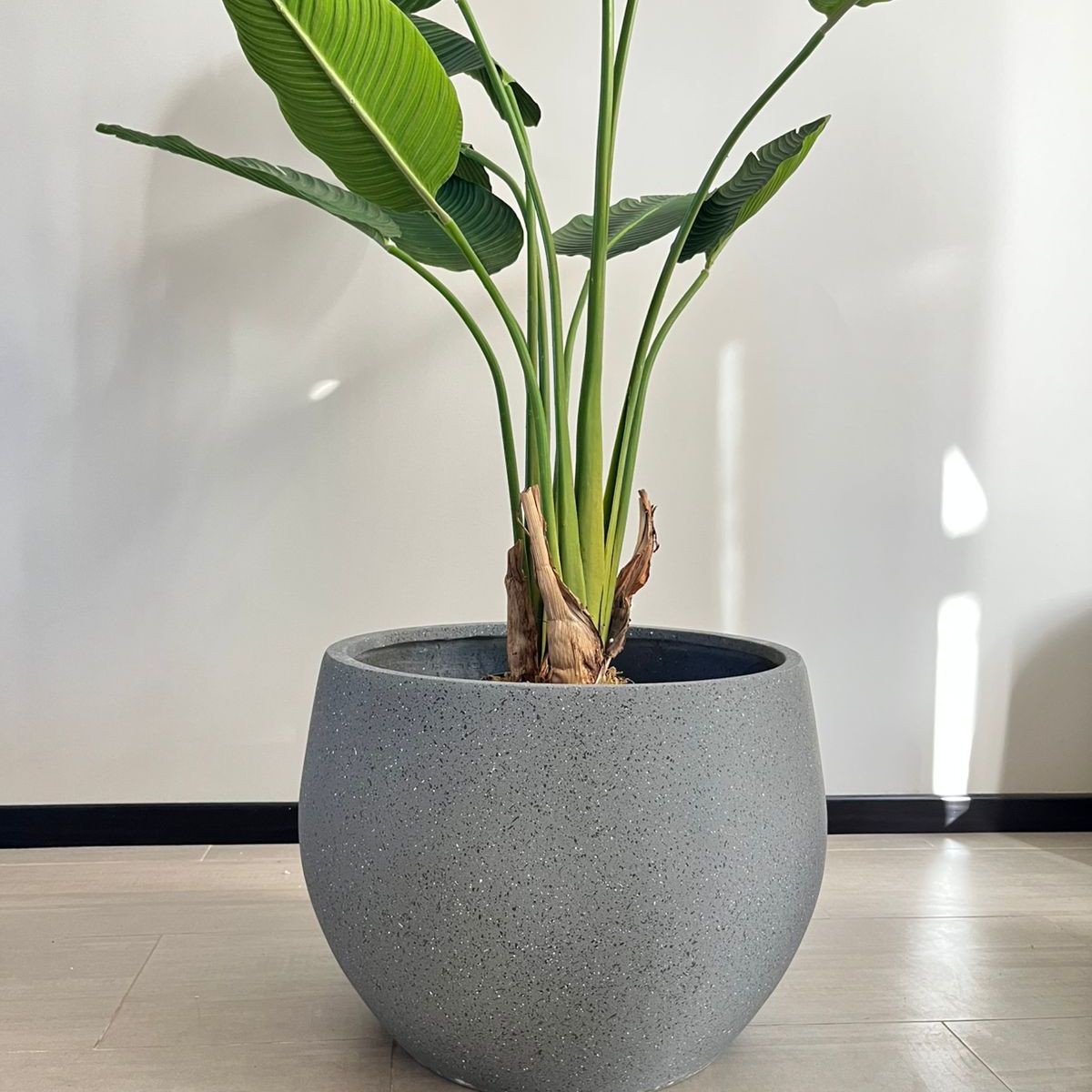 GENERICO - MACETERO GRIS 45x33 cm