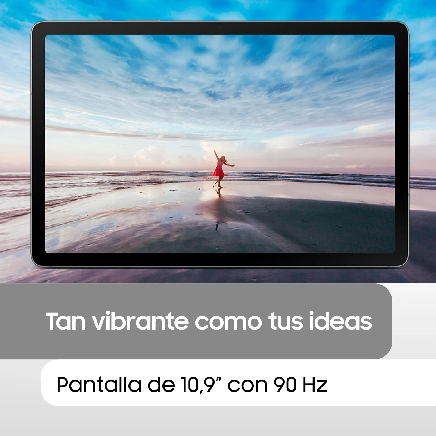 SAMSUNG Galaxy Tab S10 Lite Gris 256 GB + Cover + S Pen