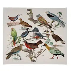TUYO PRINT - Set 4 Individuales Impermeables - Pájaros Nativos