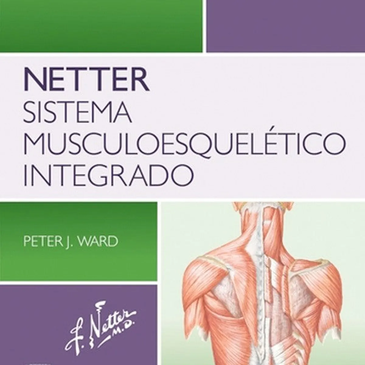 ELSEVIER - Netter. Sistema musculoesquelético integrado