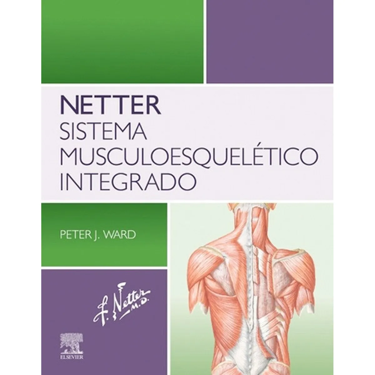 ELSEVIER - Netter. Sistema musculoesquelético integrado