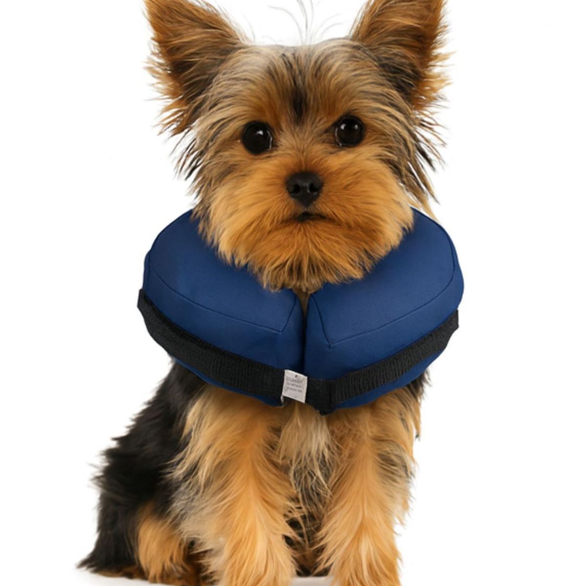 GENERICO - Collar Inflable XS (-15 cm) Recuperación Perros y Gatos