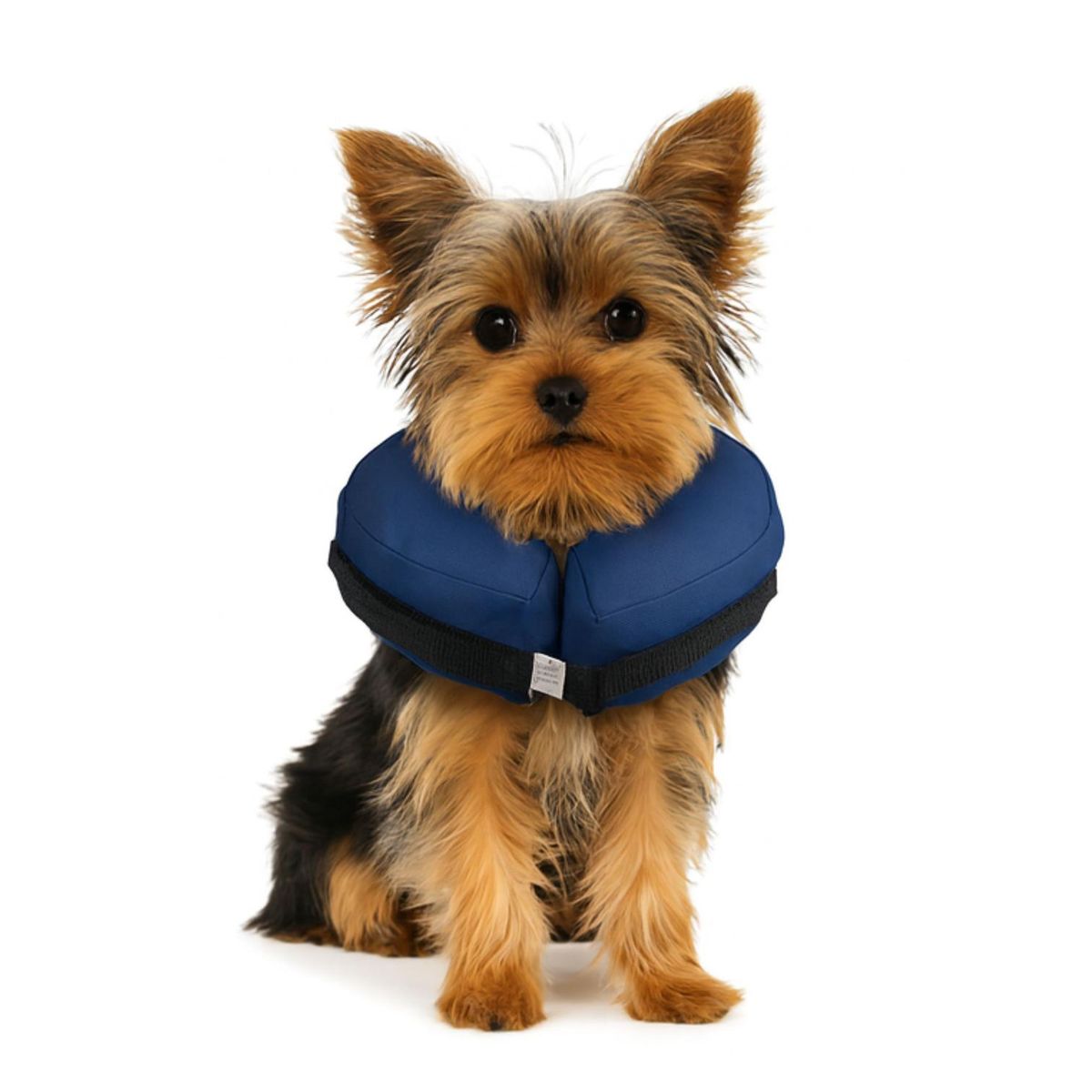 GENERICO - Collar Inflable XS (-15 cm) Recuperación Perros y Gatos