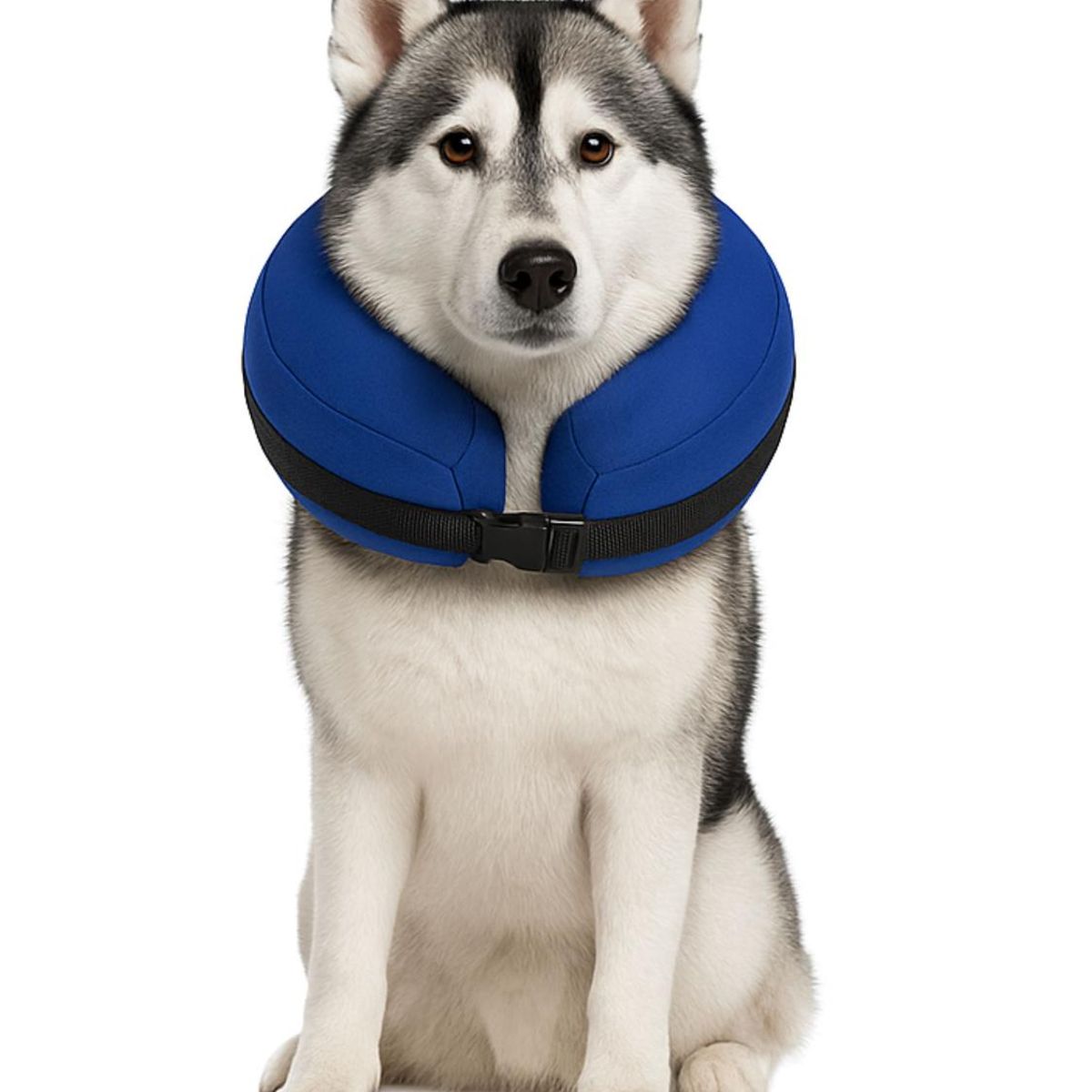 GENERICO - Collar Inflable XL (45-56 cm) Recuperación Perros