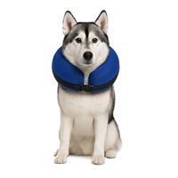 Collar Inflable XL (45-56 cm) Recuperación Perros