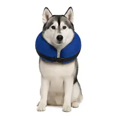 GENERICO - Collar Inflable XL (45-56 cm) Recuperación Perros