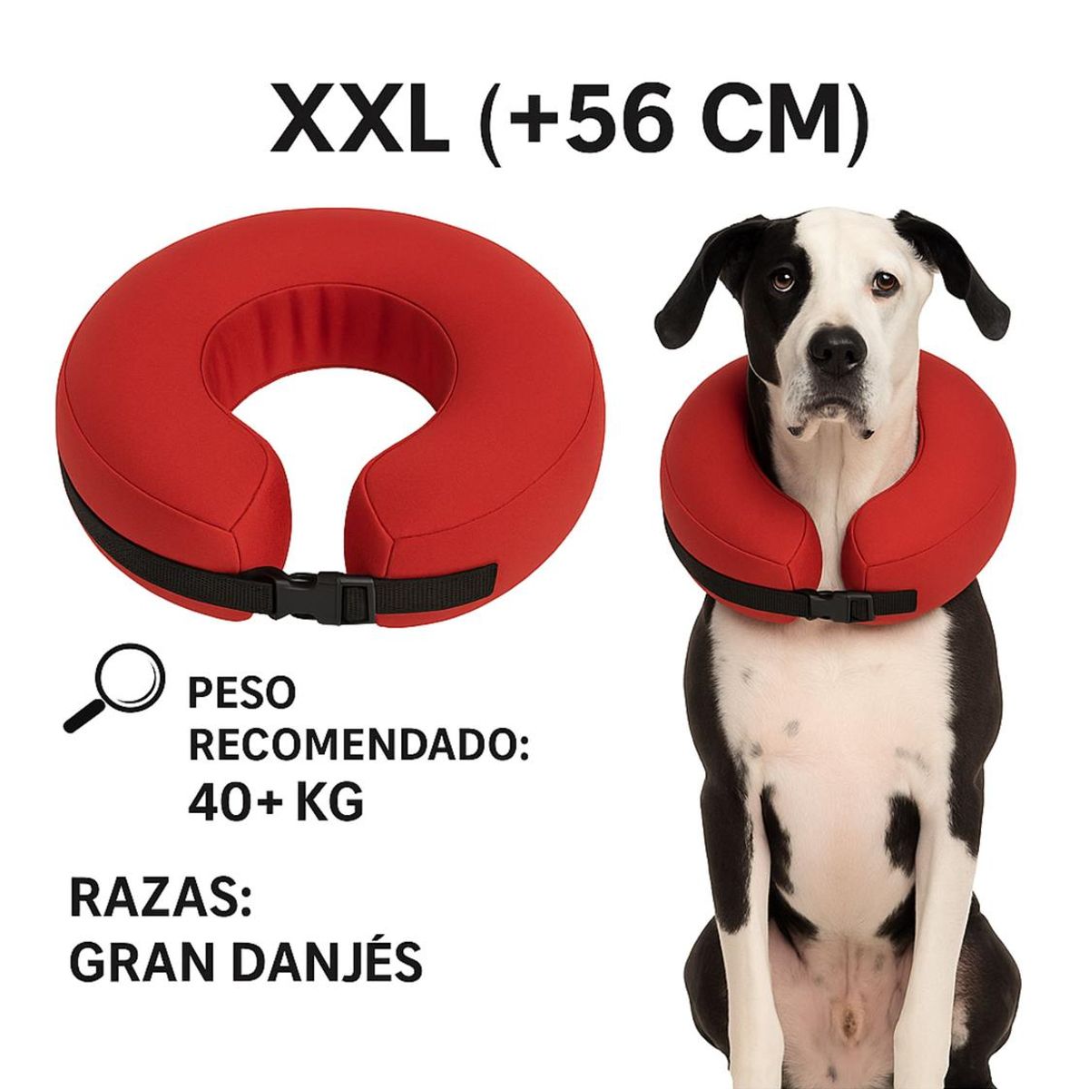 GENERICO - Collar Inflable XXL (+56 cm) Recuperación Perros Grandes