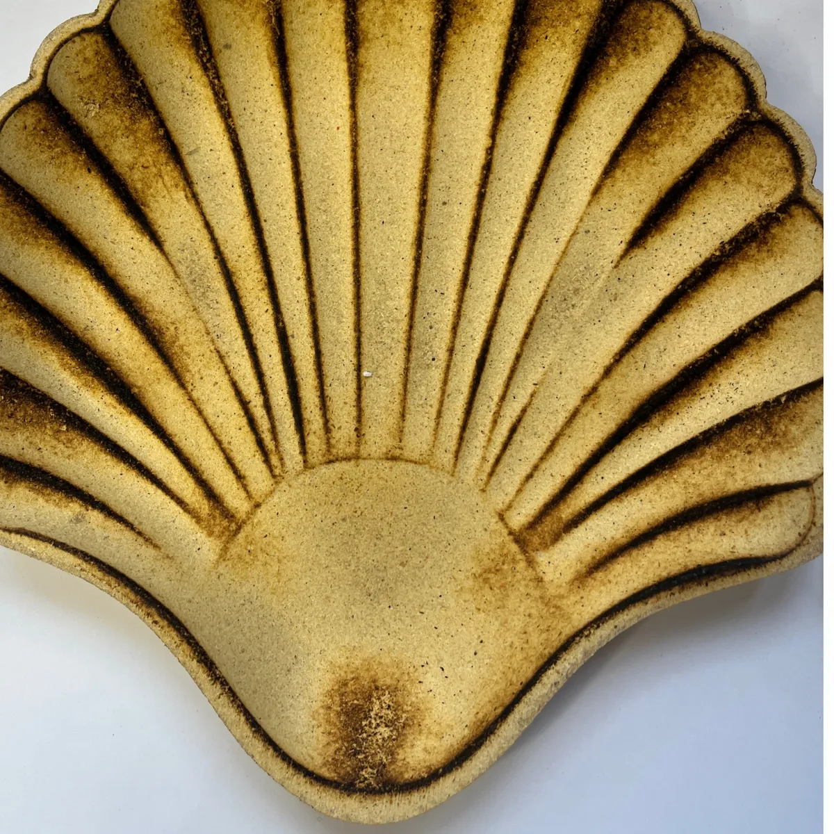 TERRA ESTILO - Set Adorno 2 Conchas Madera