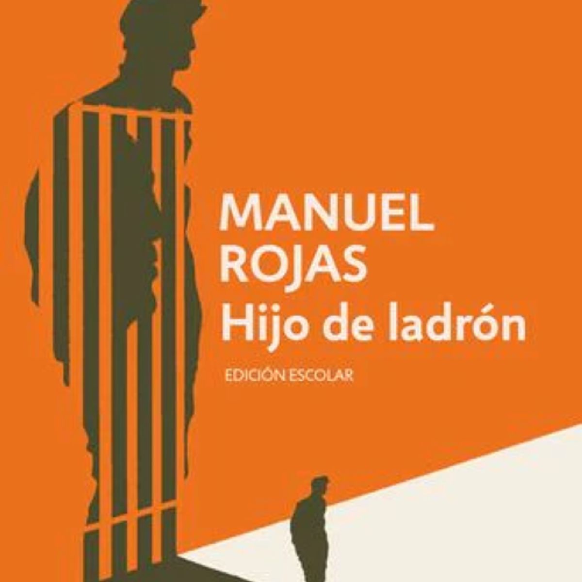 DEBOLSILLO - HIJO DE LADRON EDICION ESCOLAR