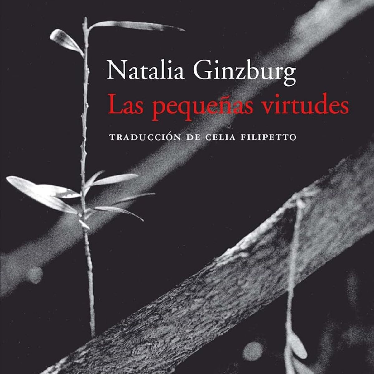 ACANTO - LAS PEQUEÑAS VIRTUDES