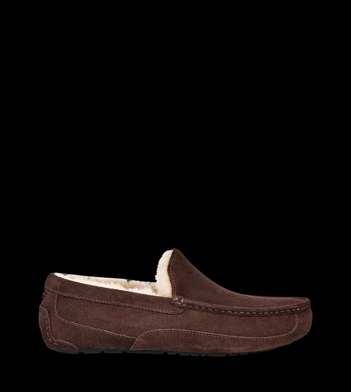 Pantuflas Ascot Café