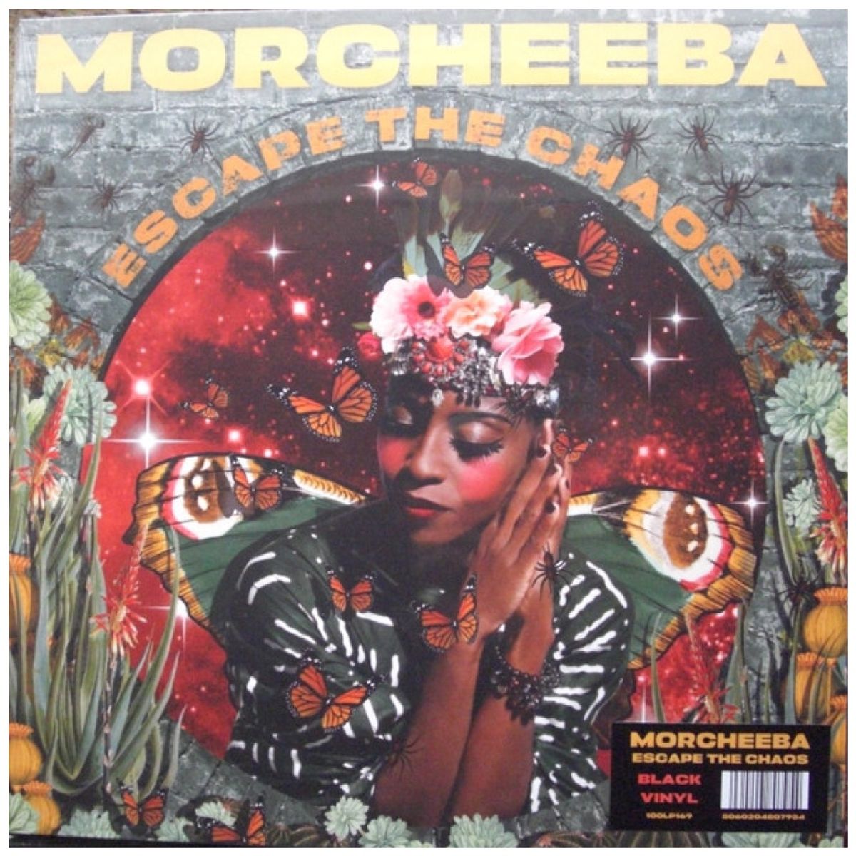 HITWAY MUSIC - MORCHEEBA - ESCAPE THE CHAOS - VINILO