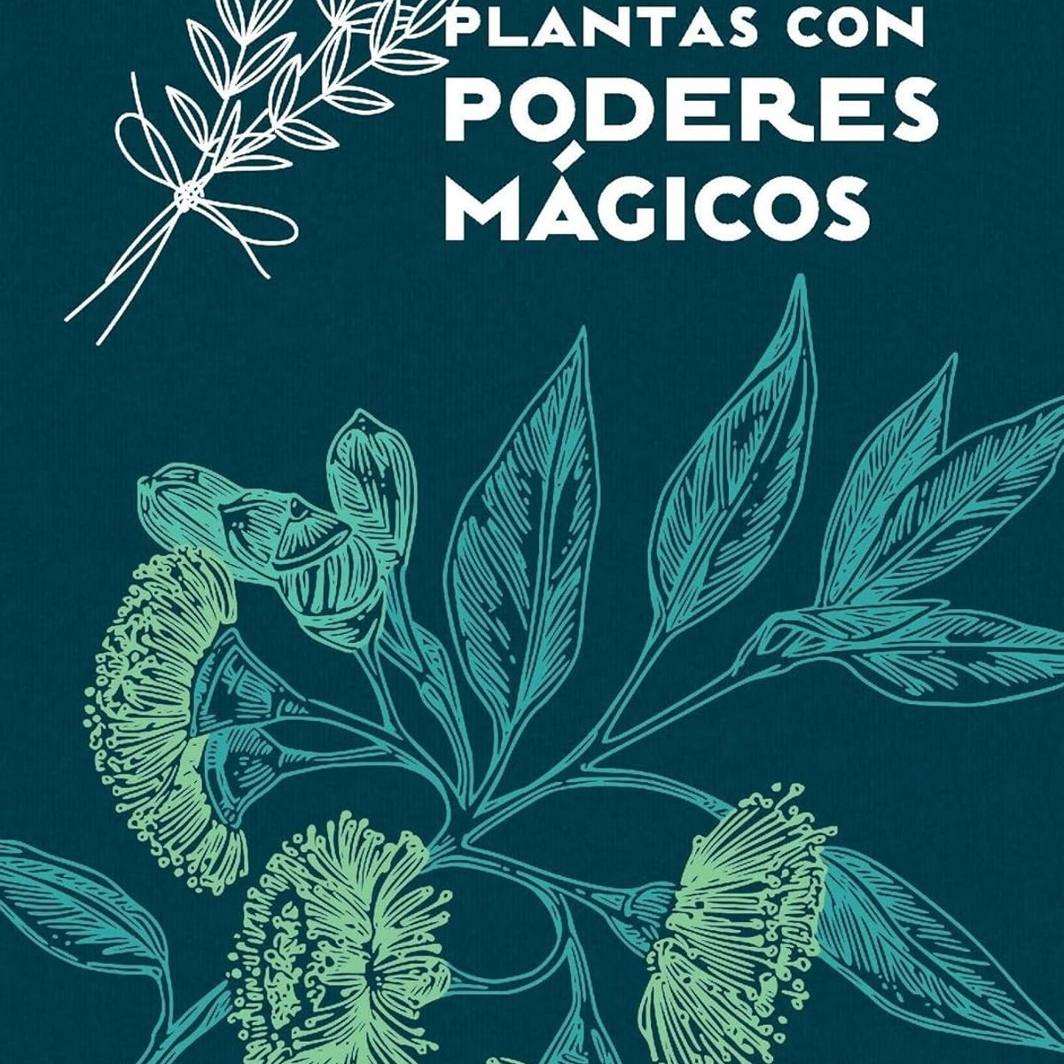 LIBSA - PLANTAS CON PODERES MAGICOS