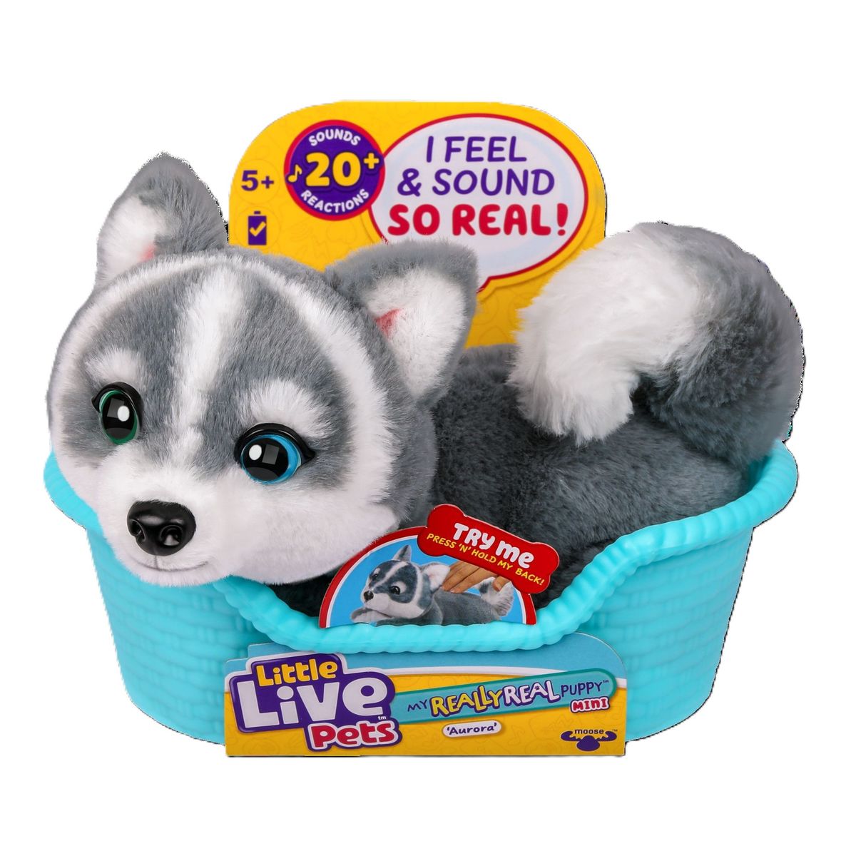 LITTLE LIVE PETS - Little Live Pets Cachorro Mini Husky Aurora