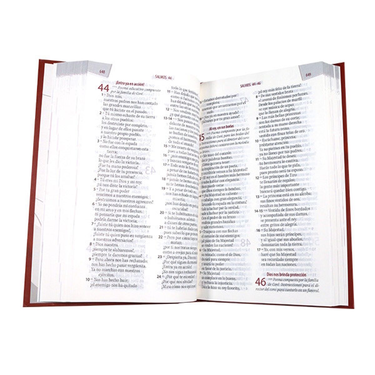 SOCIEDAD BIBLICA CHILENA - Biblia TLA Letra grande 12 puntos con ayuda emocional