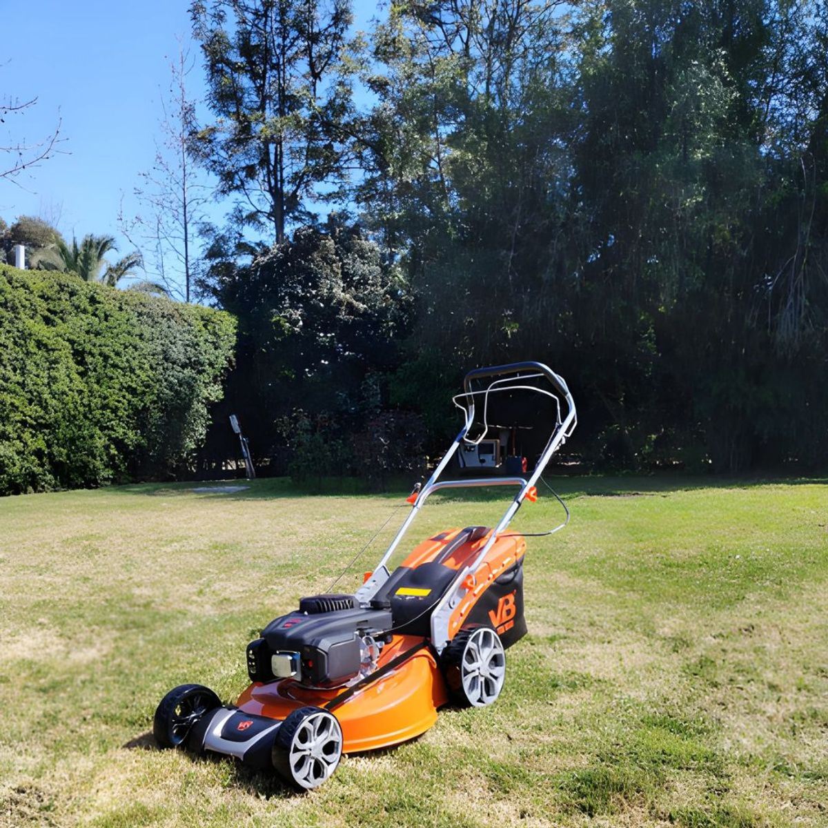 VAN BEEK - Cortadora de pasto autopropulsada bencina 6.5 HP 196cc corte 56cm 70L